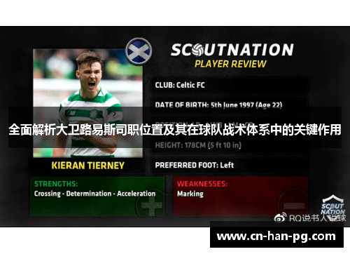 全面解析大卫路易斯司职位置及其在球队战术体系中的关键作用 全面解析大卫路易斯司职位置及其在球队战术体系中的关键作用