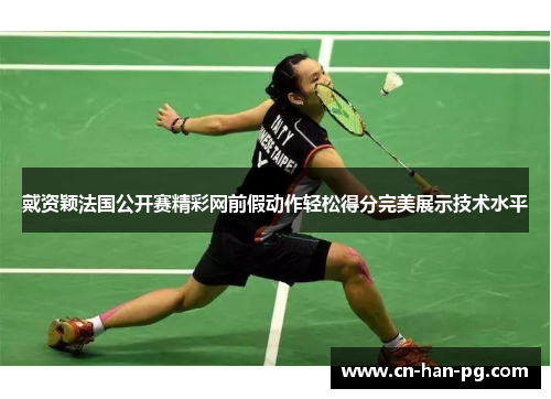 戴资颖法国公开赛精彩网前假动作轻松得分完美展示技术水平
